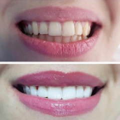 Seller Image